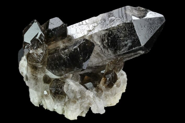 Dark Smoky Quartz Crystal Cluster - Brazil #124587